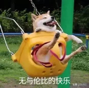 内江即将开发的购物广场,内江新商圈