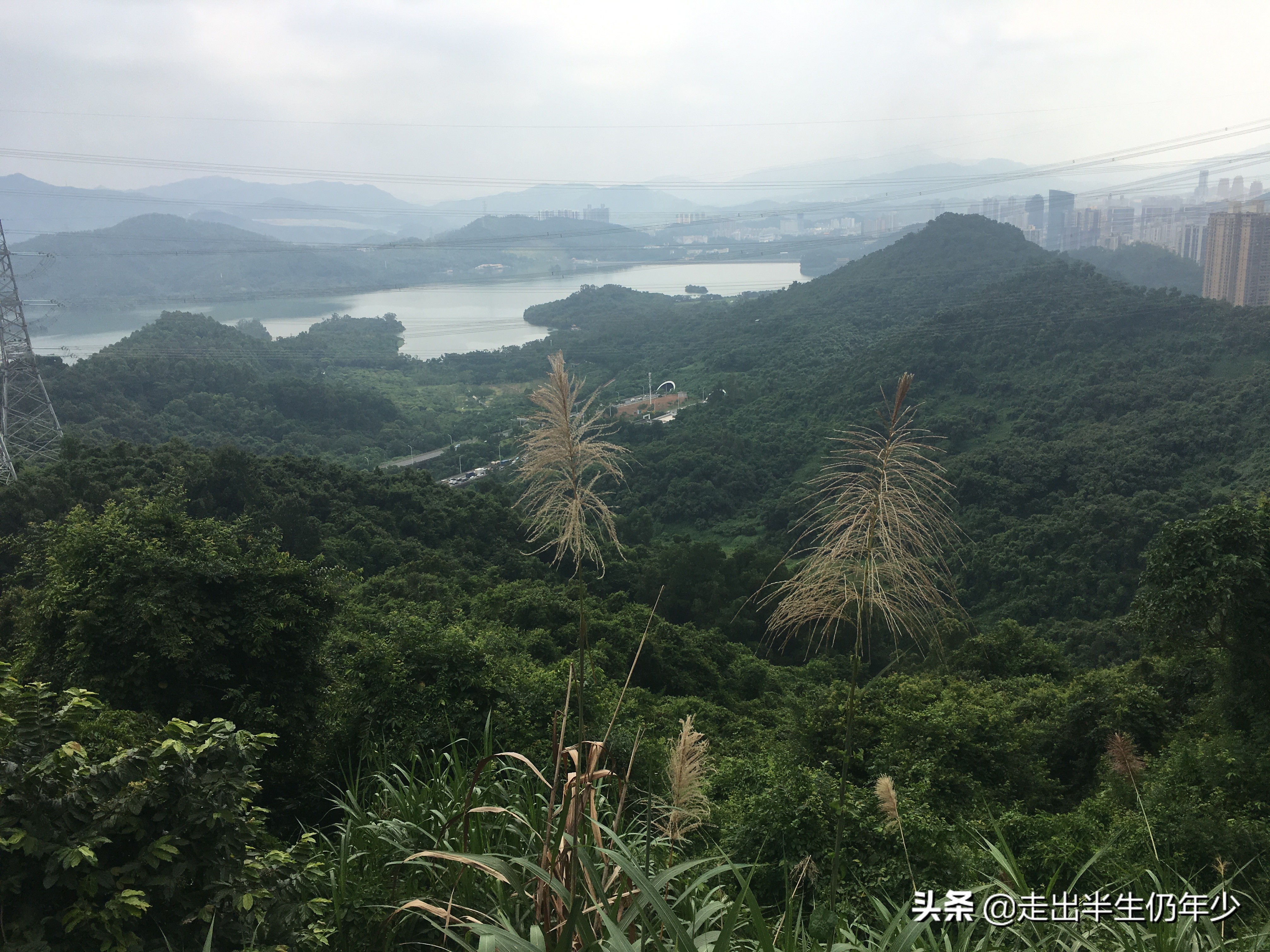 淘金山求水山徒步线路,从求水山公园怎样进入淘金山绿道