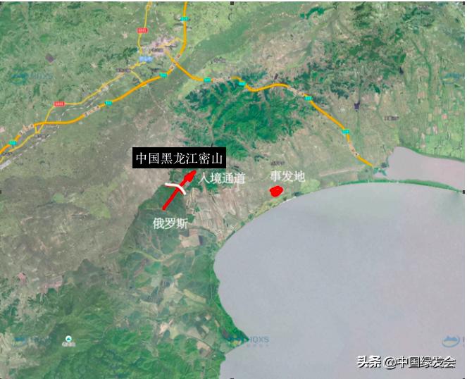 完达山1号在黑龙江哪里出现,完达山1号体型恢复了吗