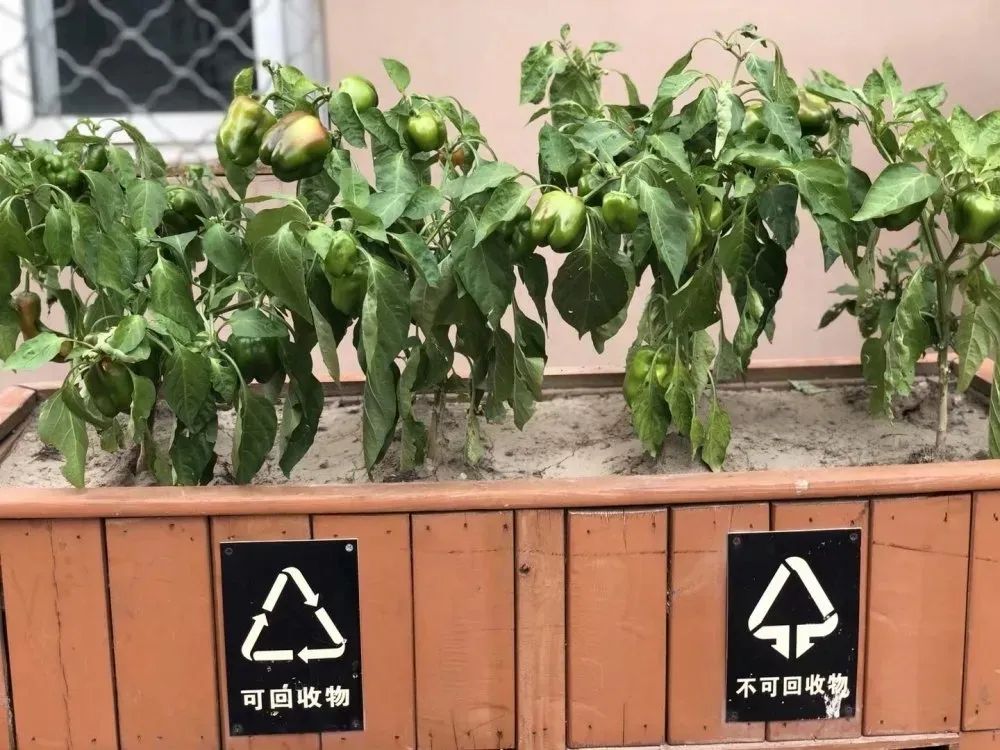 北京所有小学排名一览表,北京30所小学排名一览表