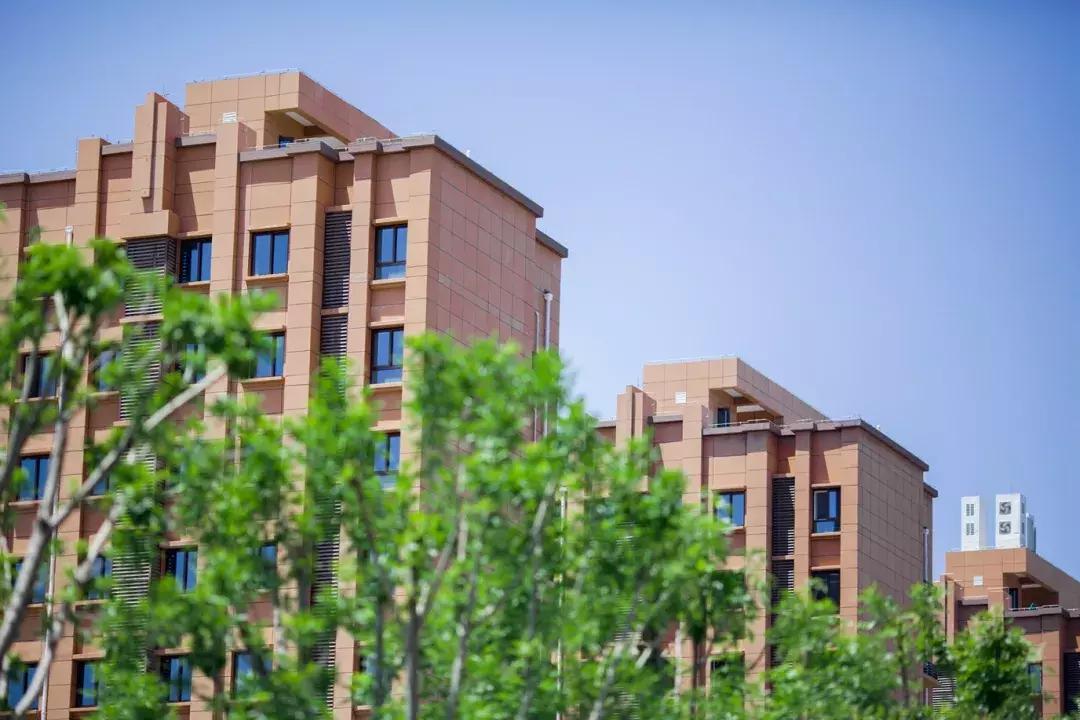 官宣!创新港景观命名发布,可以在河滩上踢足球、湿地里喝咖啡、森林里做研究......