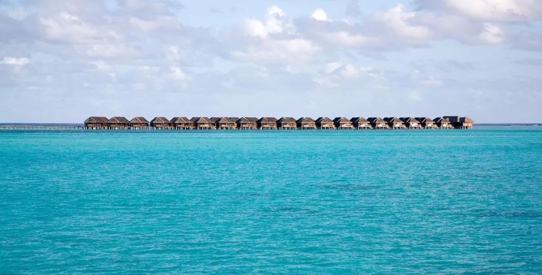 南阿里环礁,丽世岛度假村