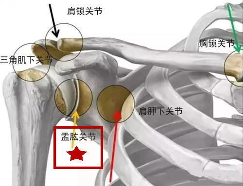 肩周炎能误诊为运动神经元吗,肩周炎的常见症状你知道哪些呢
