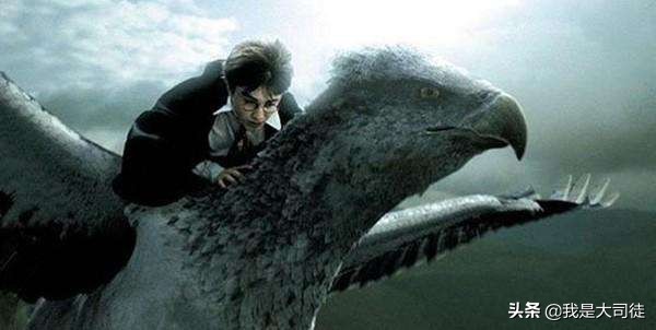 你不知道的哈利波特,你不知道的哈利·波特小秘密