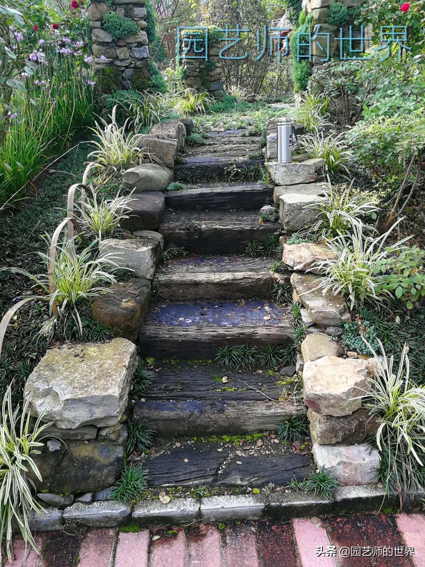 花园科学实验,花园案例及解析