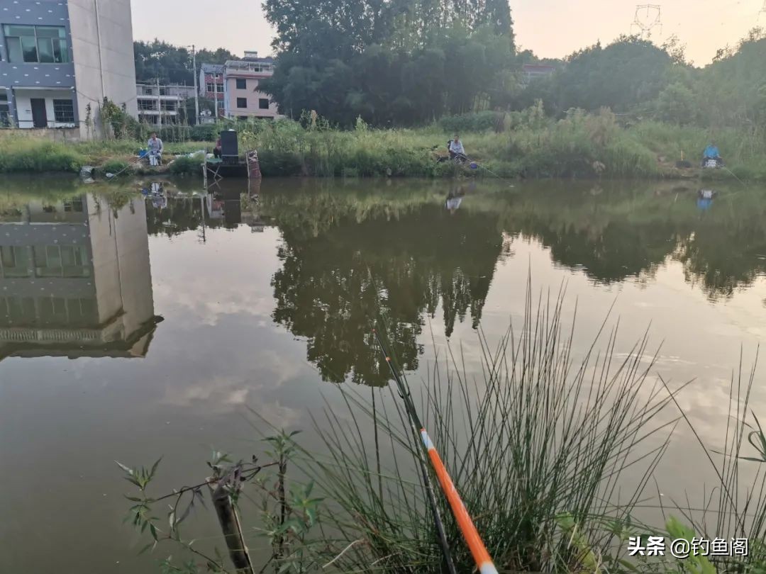 汉鼎螺纹钢一二代对比测评,汉鼎螺纹钢一代和二代哪个更硬挺