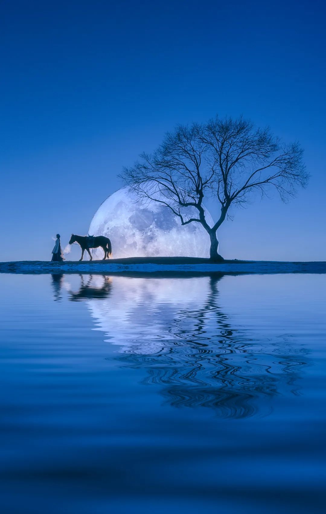 一听就惊艳的名字,你听过哪些惊艳的名字