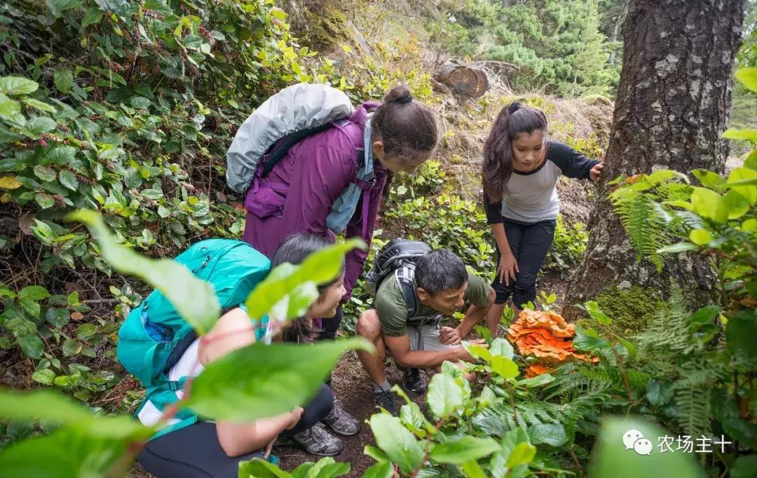 从零开始打造一个优质亲子农庄,从亏损近2亿到盈利35亿的逆袭