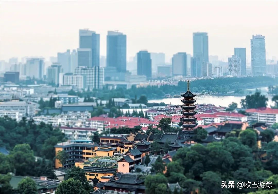 南京金陵城全景,南京金陵酒店新楼有多少米高