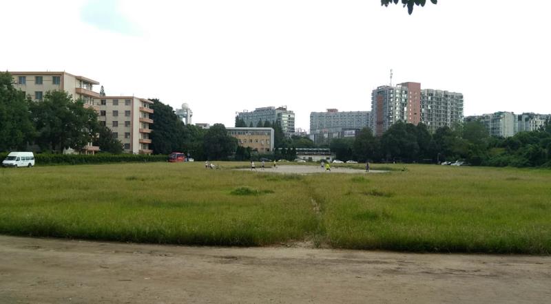 梦回主场，为了忘却的纪念！