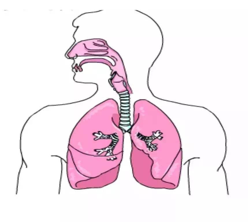 母婴健康包括哪些方面,母婴健康与疾病