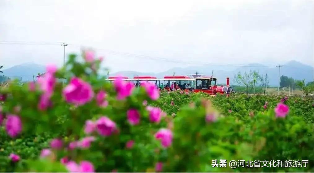 爱家乡爱保定,爱家乡游邯郸