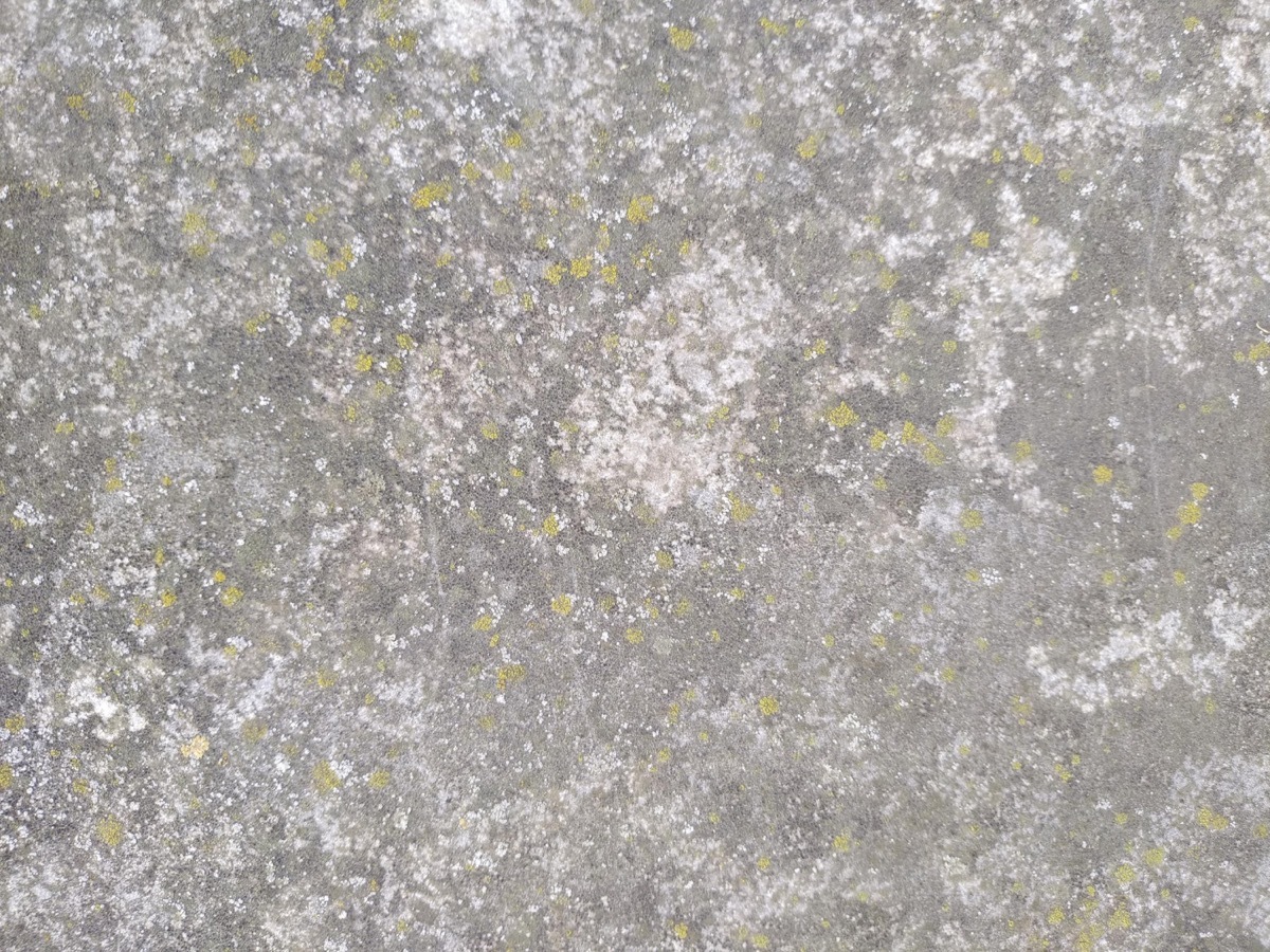 设计师福利模板,设计师必备100件用品