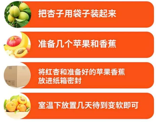 陕西金太阳新鲜杏子,陕西金太阳酸杏子