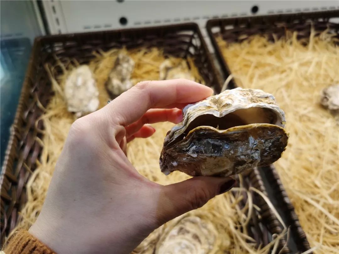 鏃犻敗鎹℃紡,韫茬偣鎺㈠簵