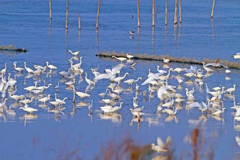 郑州五一近郊游的好地方,不出郑州就能游玩的地方