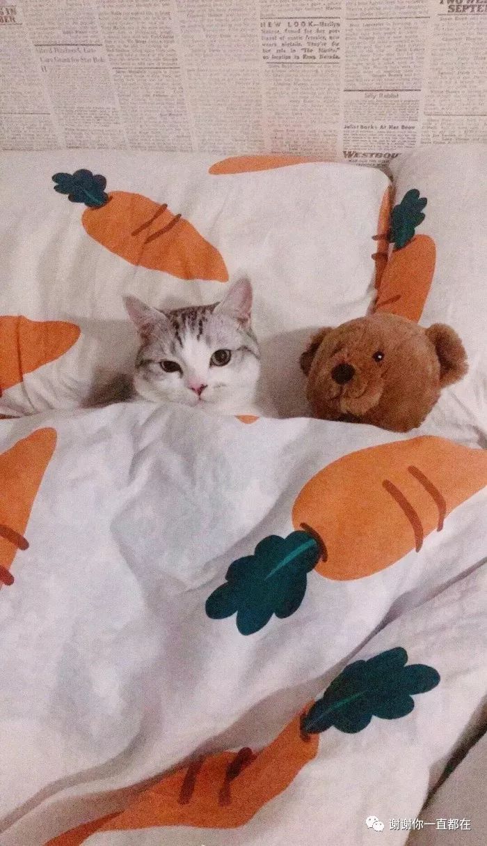 尽管眼泪是无色的却会使眼睛变红