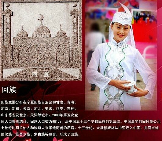 中国五十六个民族的服饰,56民族图腾图