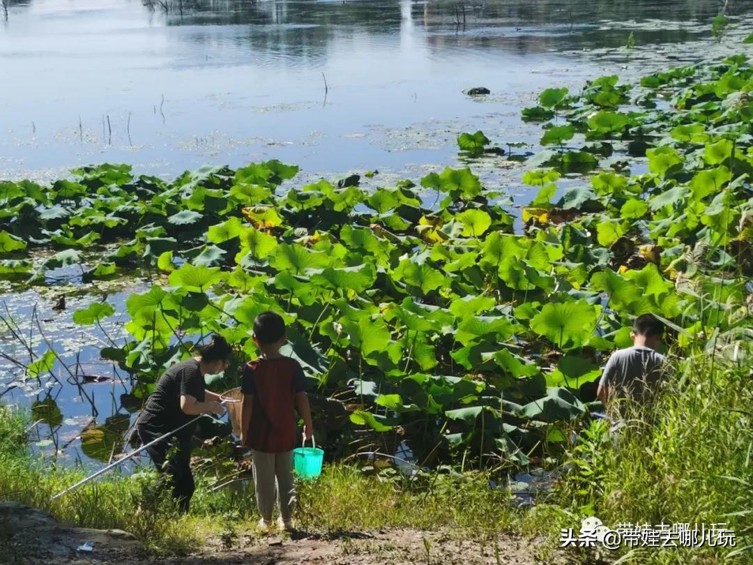 房山青龙湖镇亲子度假酒店,北京房山酒店儿童乐园