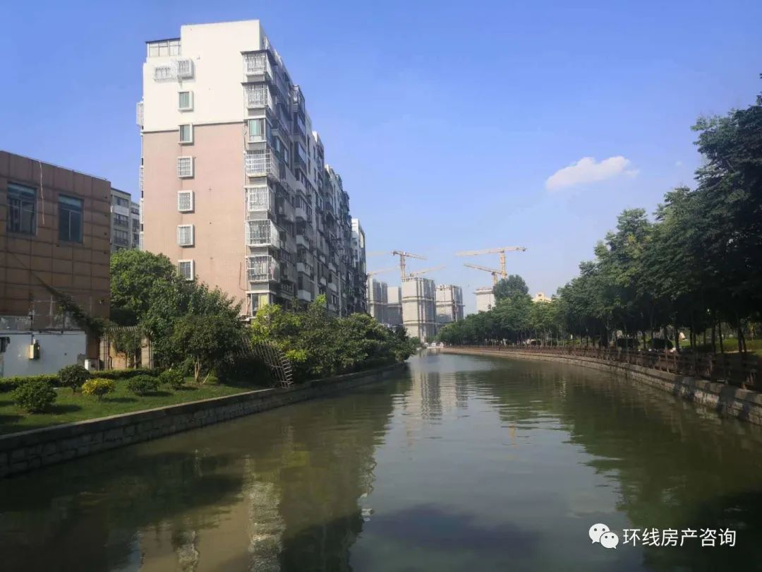 川沙值得买吗,川沙卖观赏鱼