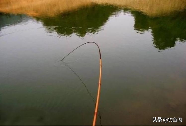 钓鱼手竿挂底最佳解决方法,钓竿太硬有什么办法解决