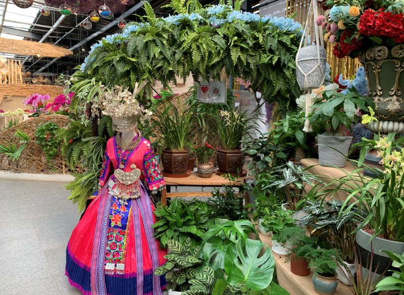 小编整理！丰台四大花市逛买攻略！春节就要这喜庆劲儿