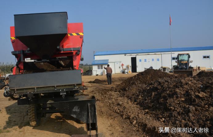 苹果矮化栽培管理,苹果矮化栽培的原理