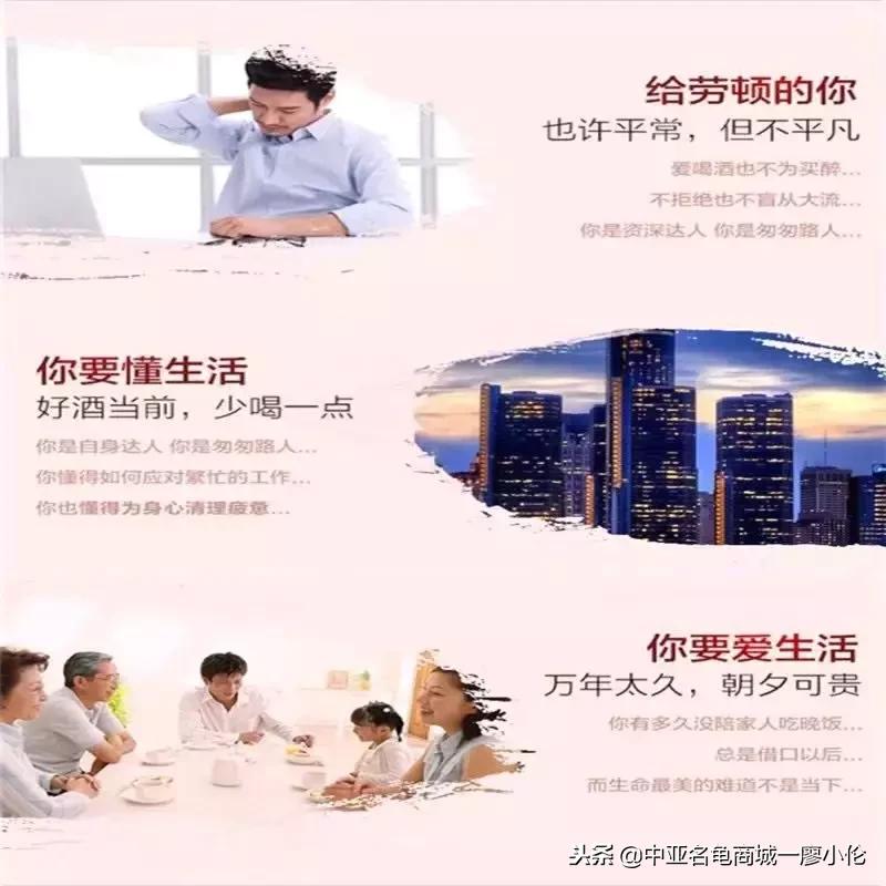 张裕出品的保健酒图片,张裕至宝养生酒露酒