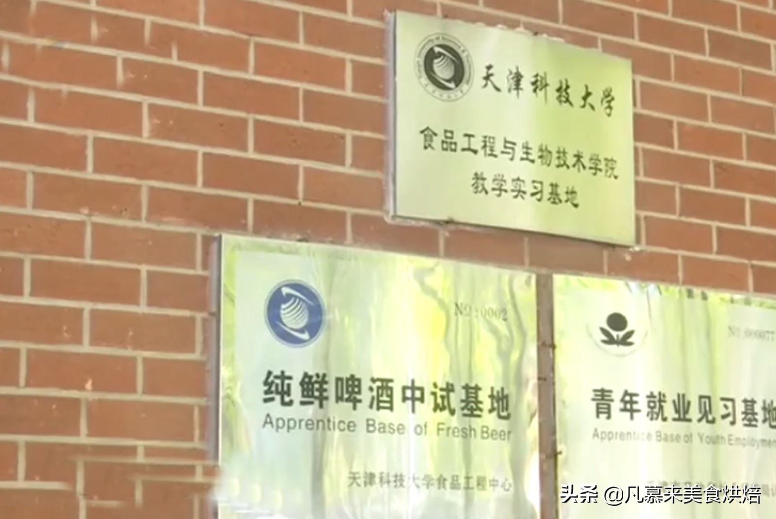 行业内幕大揭秘精酿啤酒,青岛精酿啤酒与工业啤酒的区别