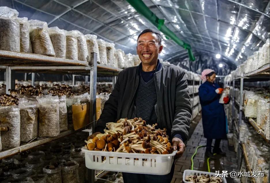 水城:产业兴旺乡村美