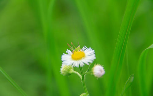 摄影美工零基础入门,电商美工零基础入门两个月靠谱吗