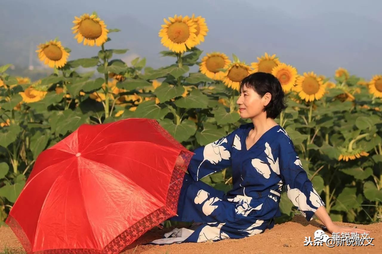 印象西湖雨英文演唱,印象西湖雨原版