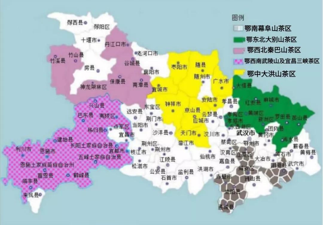 湖北名茶品种,待疫情结束我们去看春暖花开