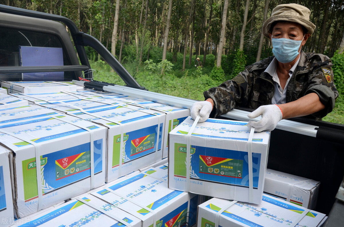 蔬菜无农药除虫药,蔬菜长虫了又不想打农药该怎么办