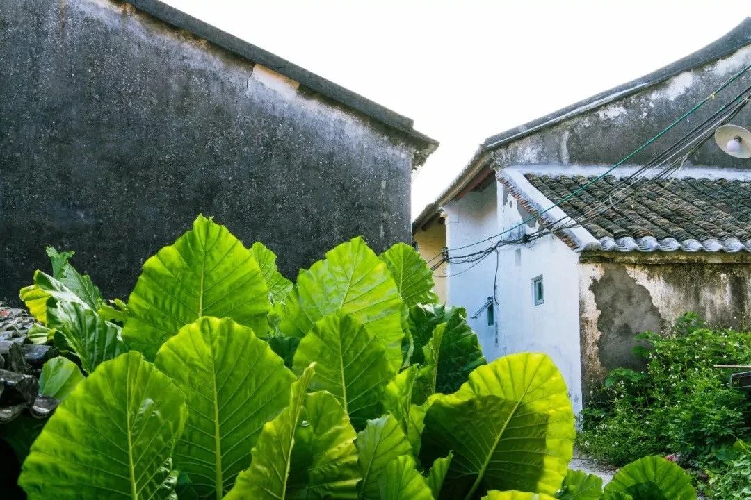 深圳的一处热门古风拍摄地,深圳古风拍照景点推荐