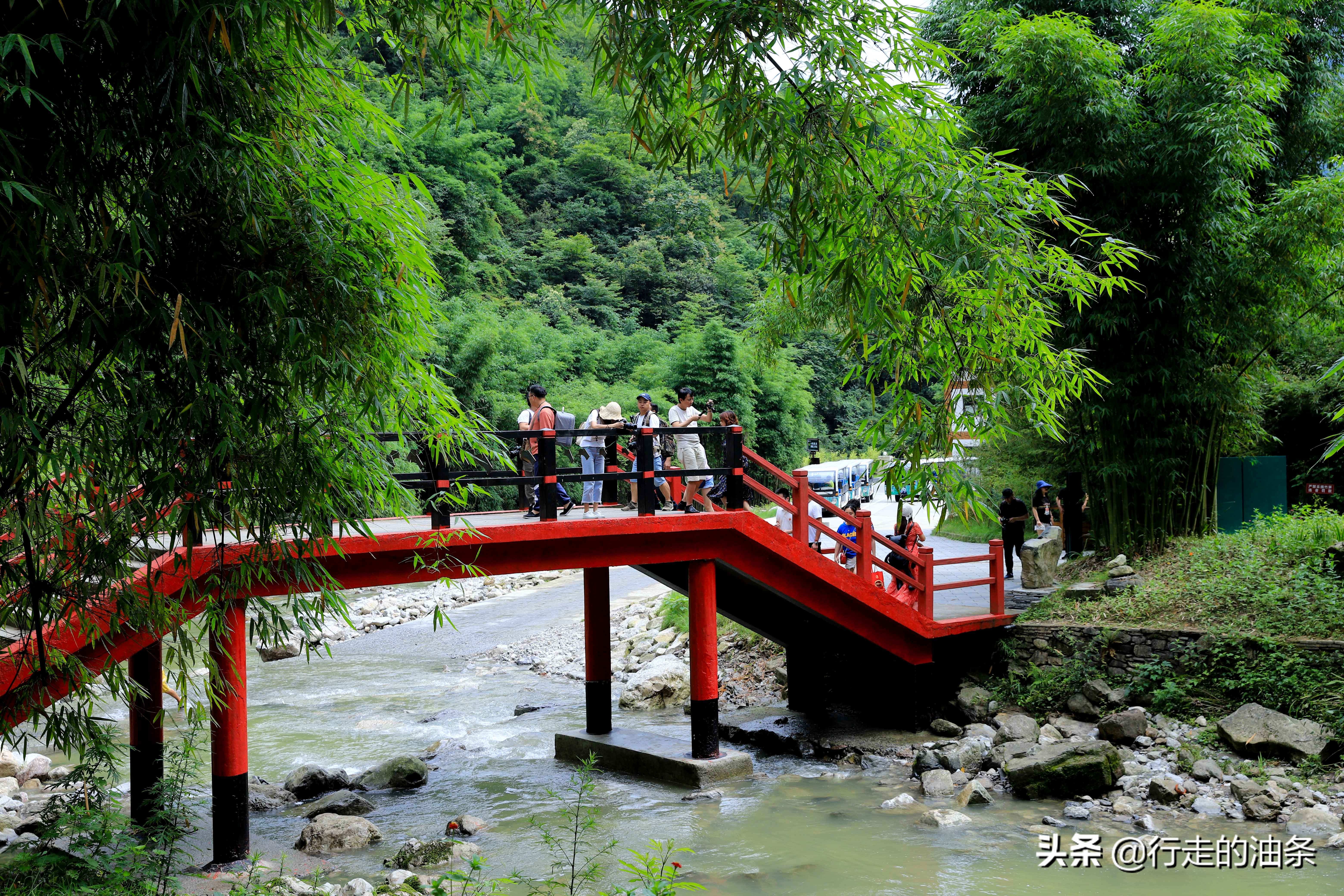三峡竹海秭归,秭归三峡竹海