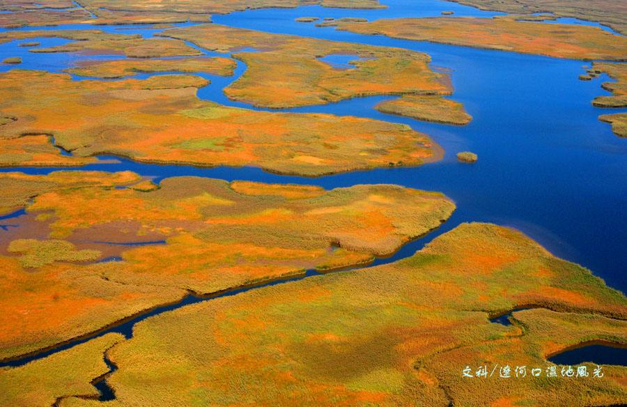 血瘀气滞和经络不通有区别吗,颈椎血瘀气滞经络不通的症状