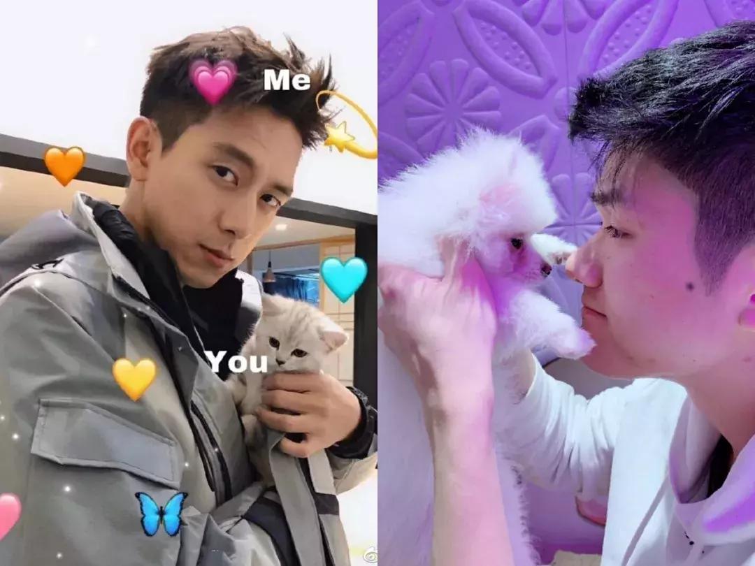 我家小两口若风戚蓝尹八卦,我家小两口若风戚蓝尹设计师