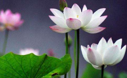 第十二章，如何理解波的特性与世界的幻象性之间的关系047