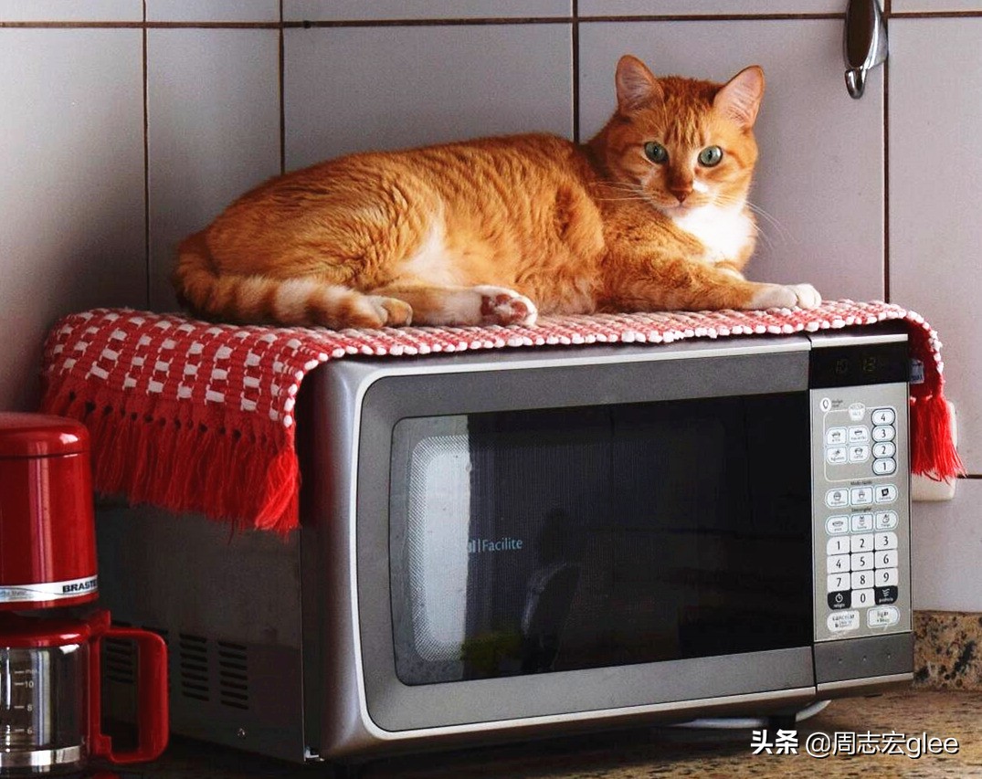 微波炉的科学讲解,微波炉致癌有科学依据吗