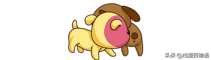 如何让狗狗变得温顺听话,怎么让家里的狗狗接受新来的狗狗