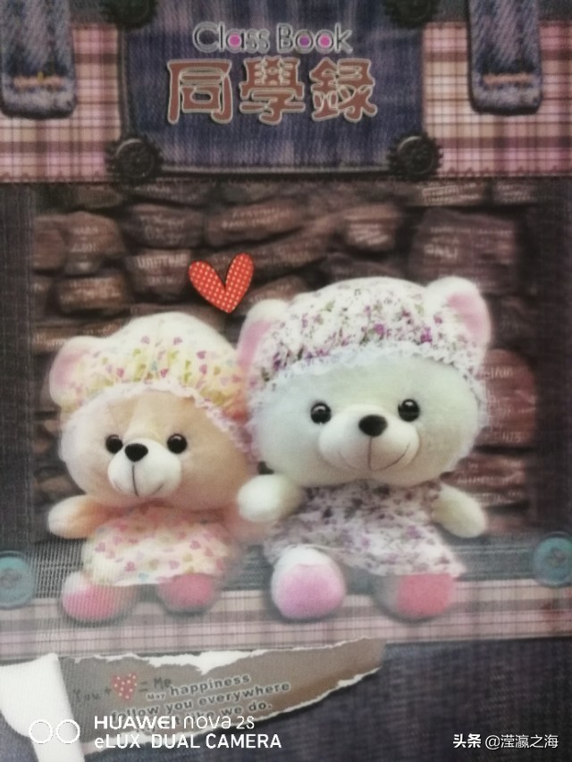 我和我的同桌,同桌的青春年华