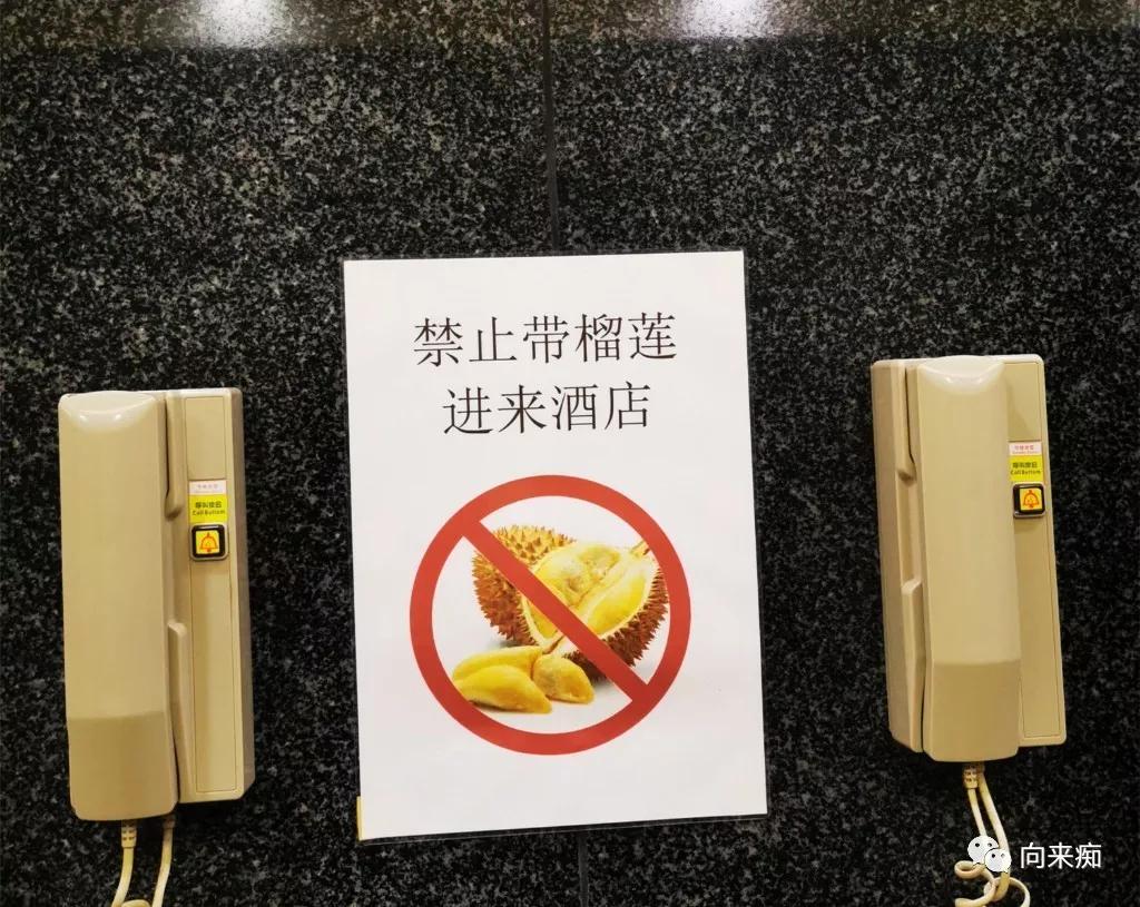 泰国一人行芭提雅跳伞,泰国三人行歌曲