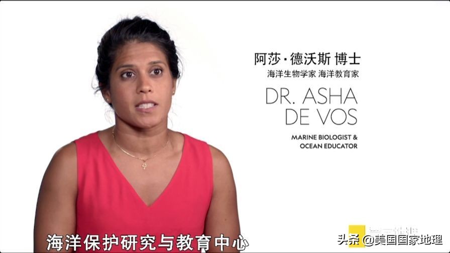 是什么激励着国家地理女探险家们改变世界的?