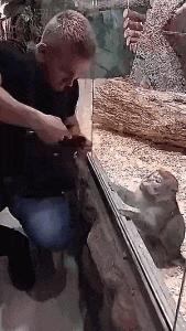 搞笑gif段子妹子你太皮了,搞笑gif段子妹子有点太淘气了