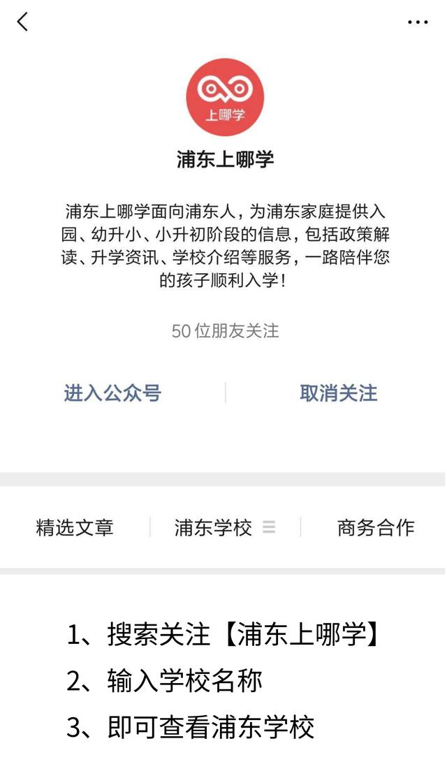 浦东民办值得摇号的学校,上海浦东摇号选哪个学校