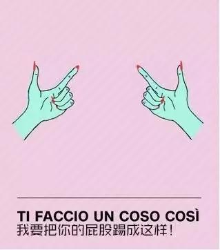 不愧是意大利人,不愧是意大利人阅读理解