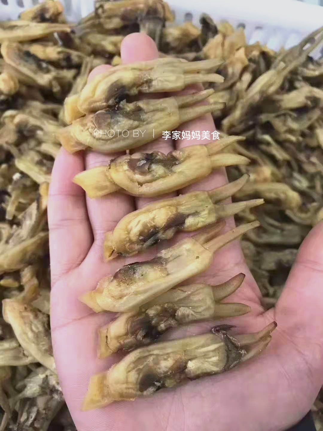 清明前后海鲜,清明前有哪些海鲜当季