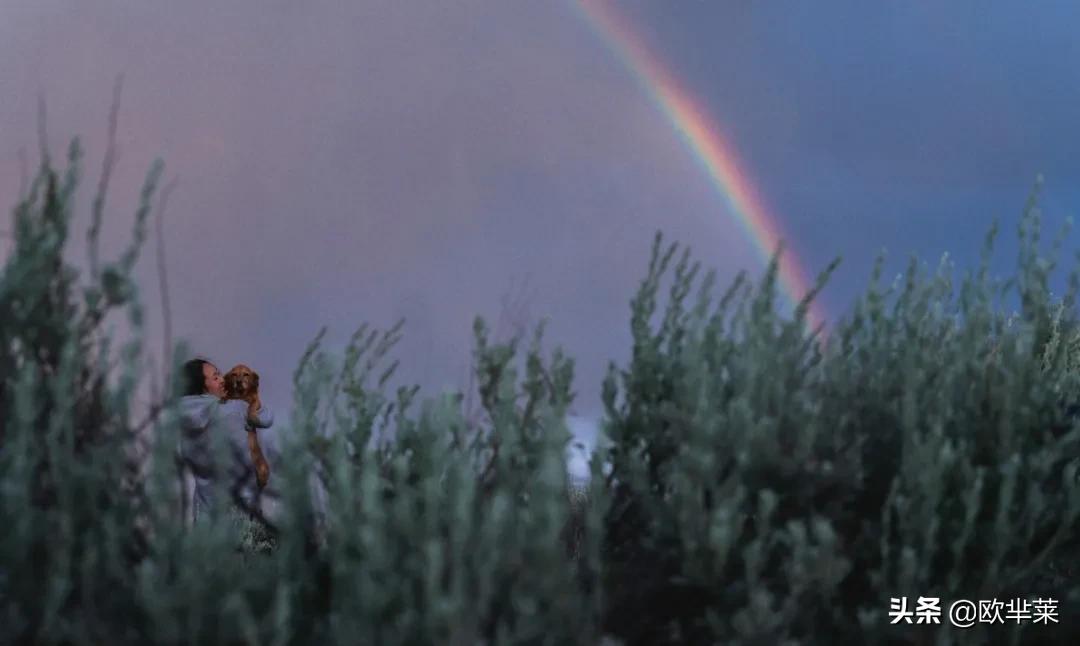 那些彩虹的摄影碎片，反射着诗的光芒。