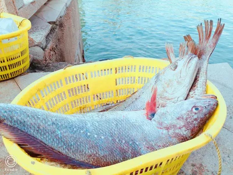 广东珠海自驾免费海滩推荐,珠海最迷人的沙滩